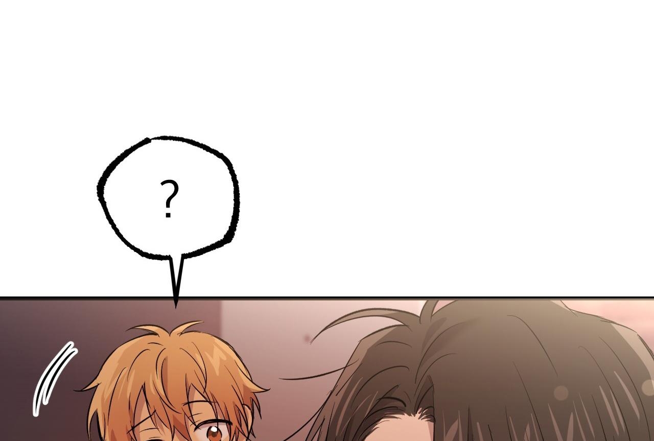 những chú thỏ của hapypy chapter 57 192