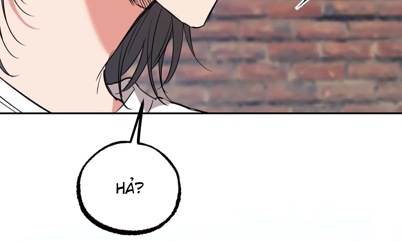 đàn thỏ của habibi chapter 56 84