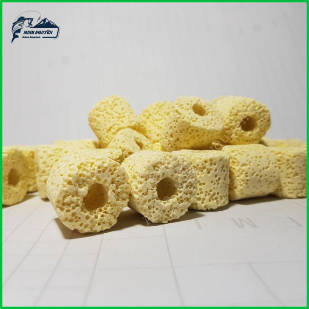 Sứ nhẫn vàng - Sứ Trụ Vàng - Vật liệu lọc bể cá cảnh