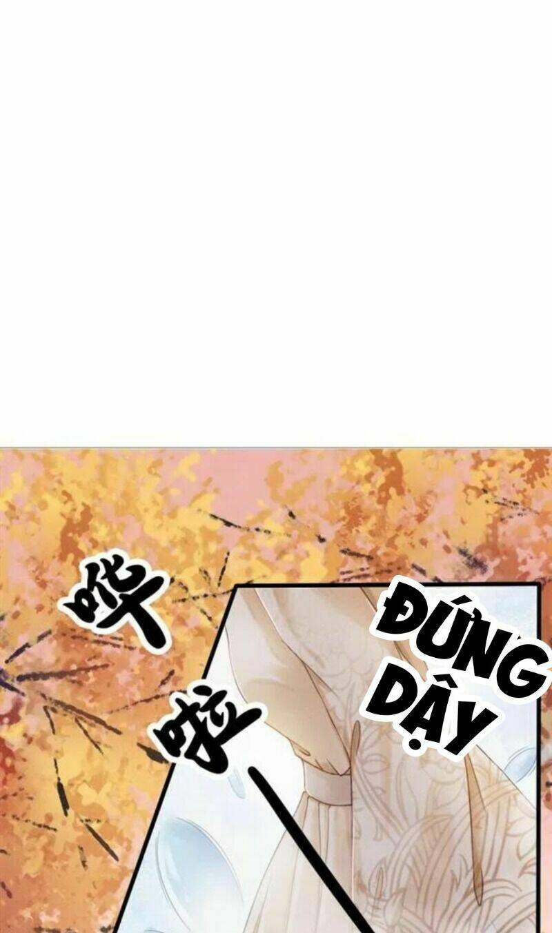 trọng sinh bá sủng nhiếp chính vương quá mạnh mẽ chapter 64 8