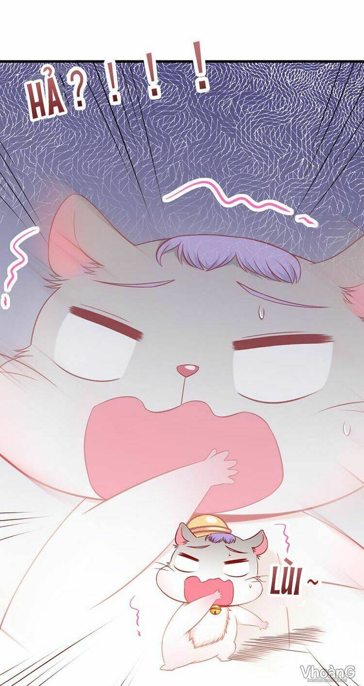 kế ước ngọt sủng:quốc dân lão công đích tiểu chiếm giữ thử chapter 3 6