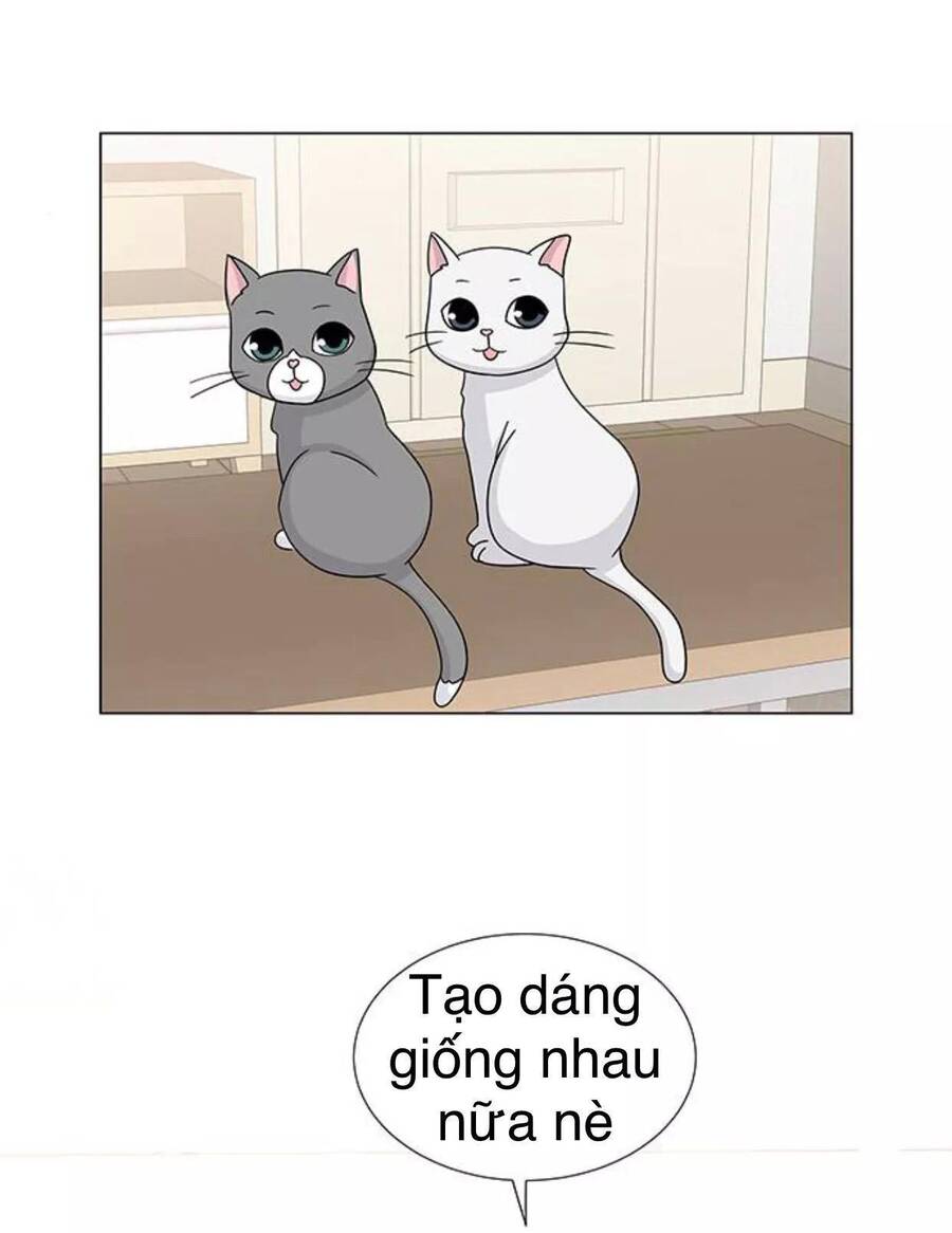 idol và sếp, em yêu ai? chapter 117 19