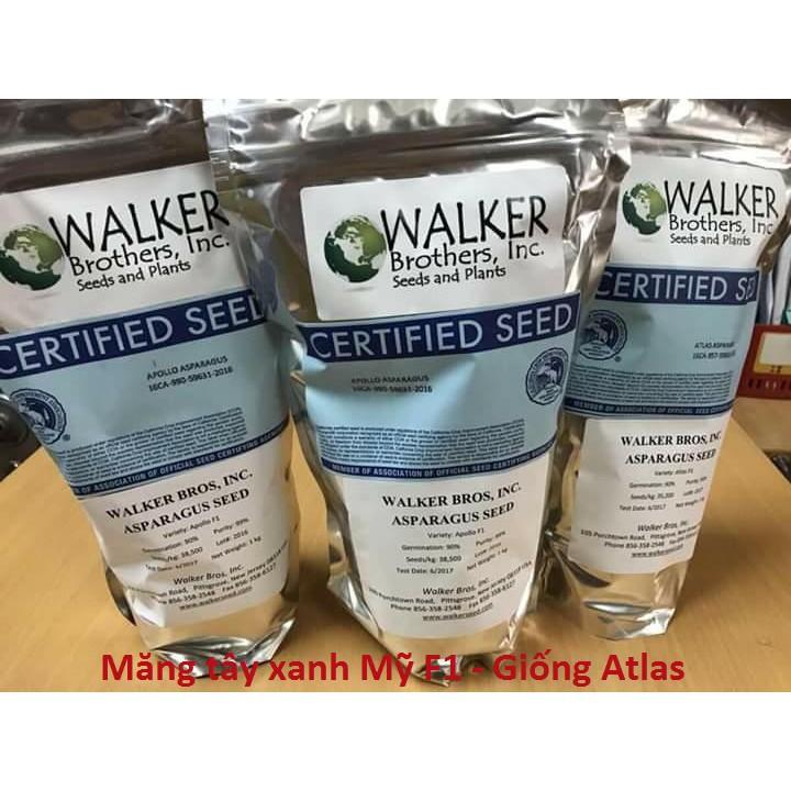 Hạt Giống Măng Tây Xanh F1 - 100 hạt