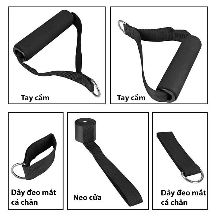 Dây Ngũ Sắc Tập Gym dododios, Bộ 5 Dây Đàn Hồi Kháng Lực Tập Full Body, Dụng Cụ Tập Thể Hình Tại Nhà Đa Năng