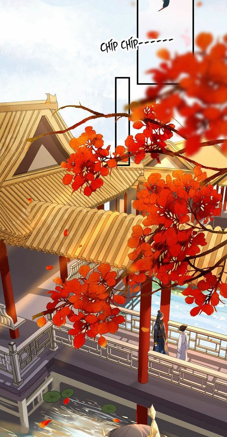 thái tử, người thật ngọt ngào chapter 15.2 33