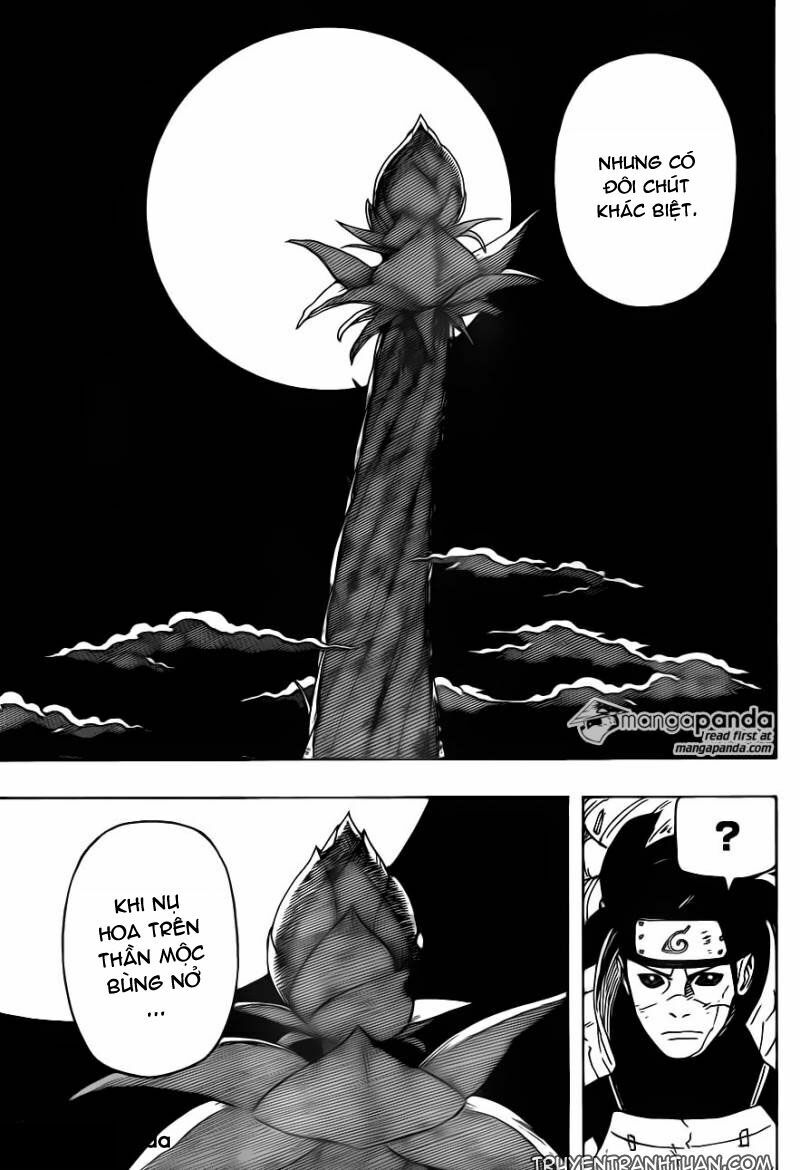 naruto - cửu vĩ hồ ly chapter 646 12