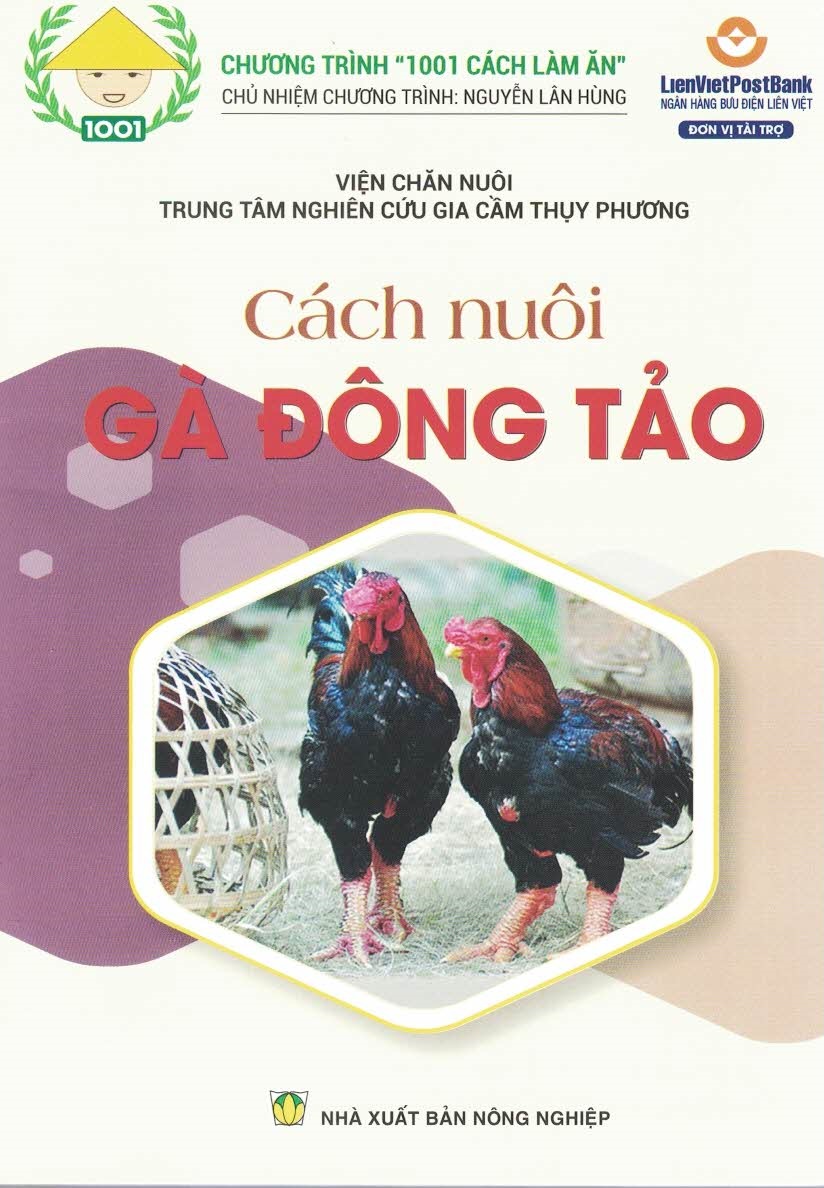 Cách Nuôi GÀ ĐÔNG TẢO