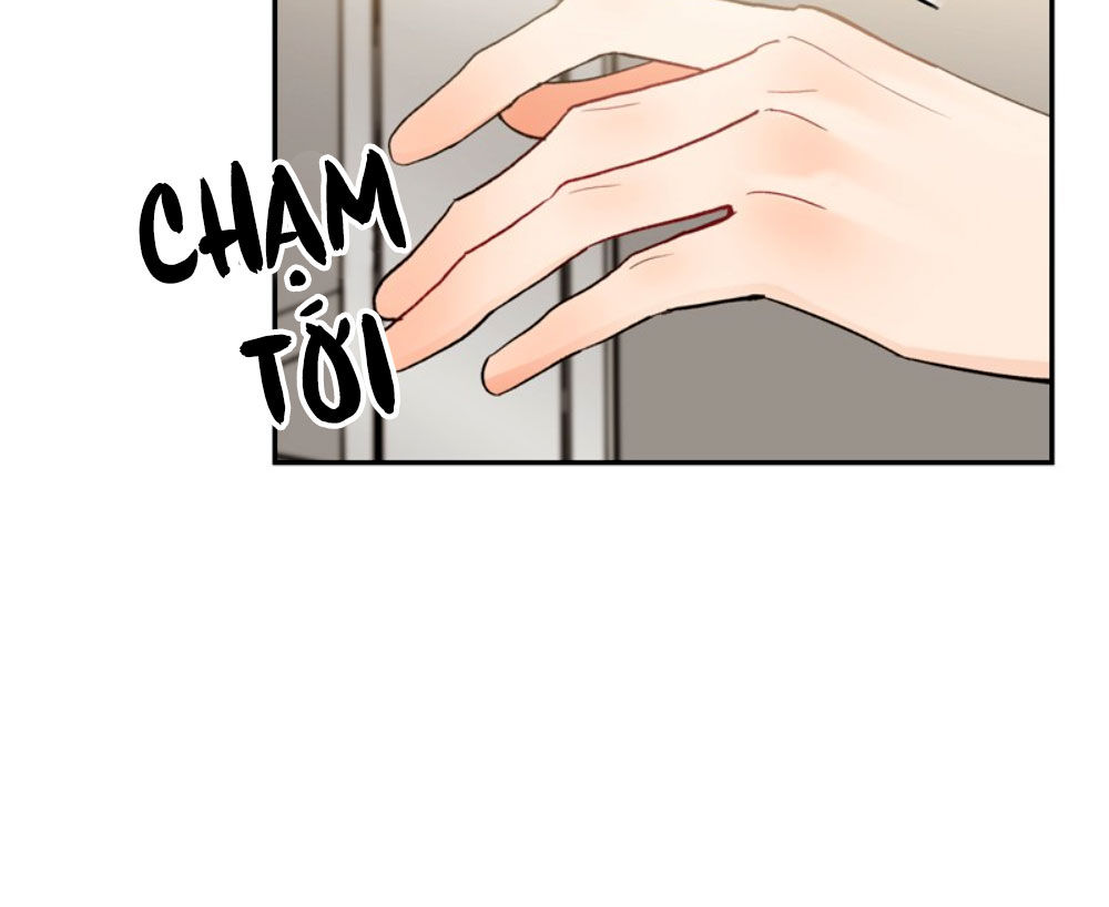 nụ hôn của giác quan thứ sáu chapter 12 19