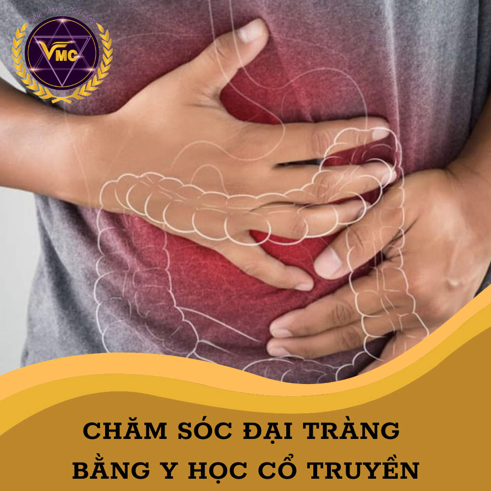 Khóa Học Video Online Chăm Sóc ĐẠI TRÀNG Bằng Y Học Cổ Truyền - Trung Tâm Chăm Sóc Sức Khỏe VMC
