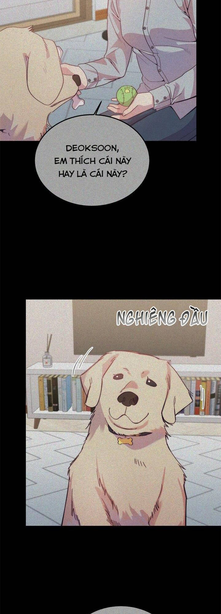 cách để trao vương miện cho vị hoàng tử hoang dã của tôi chapter 17 39