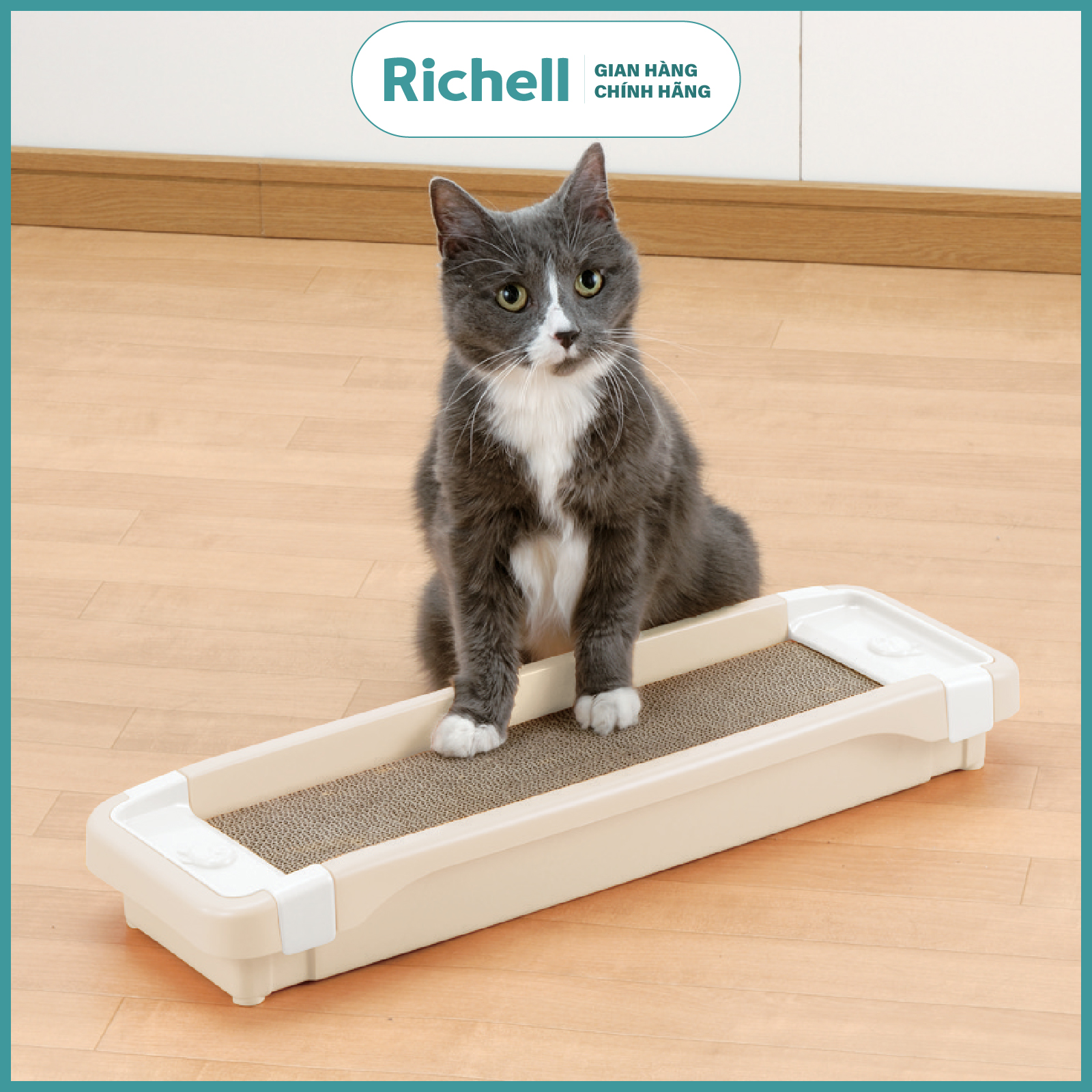 Bàn cào móng Richell Nhật Bản cho mèo | Pet