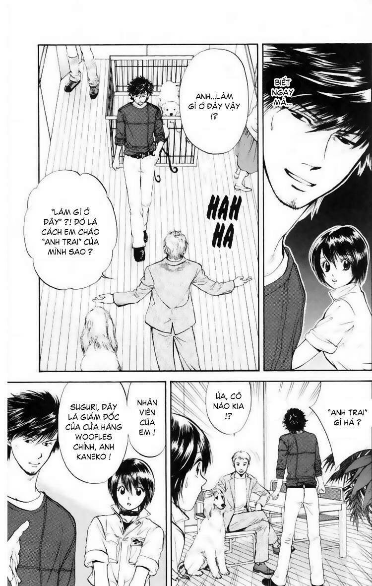 cô nàng yêu chó chapter 11 8