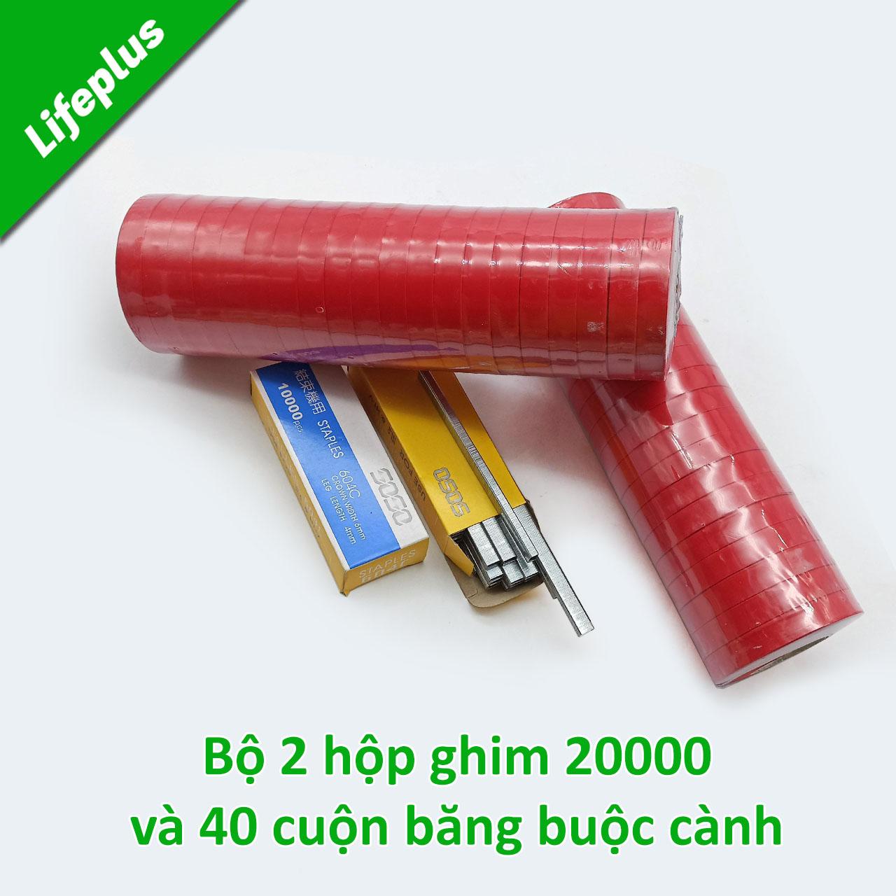 Bộ 2 hộp ghim và 2 cây băng buộc cành cây