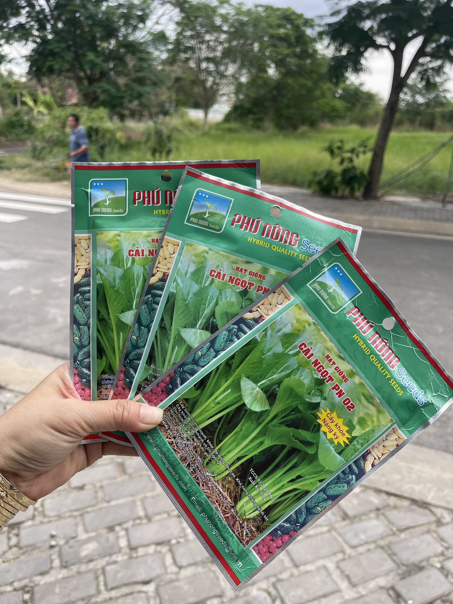 HẠT GIỐNG CẢI NGỌT PHÚ NÔNG 50 GRAM