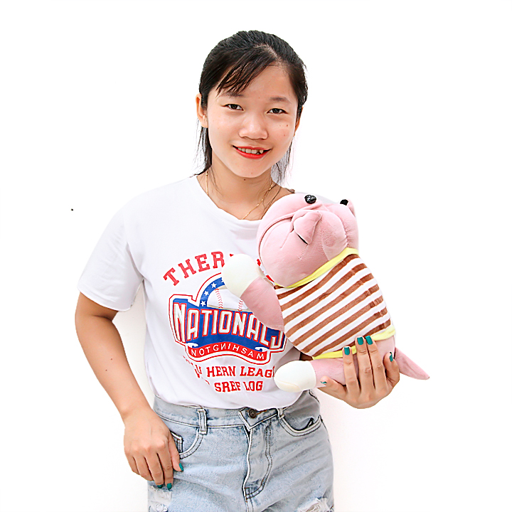 Gấu bông chó mặt nhăn áo kẻ dễ thương 30cm