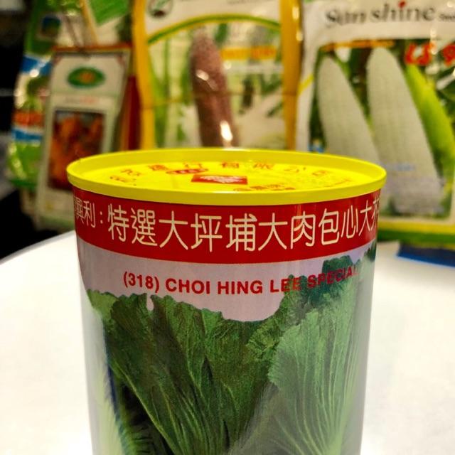 HẠT GIỐNG CẢI BẸ DƯA TOÀ SẠI HỒNG KÔNG