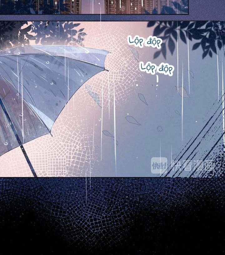 nỗi buồn của hoa cẩm tú cầu chapter 15 13