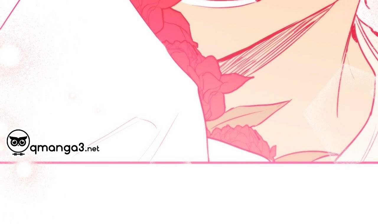 đàn thỏ của habibi chapter 44 237