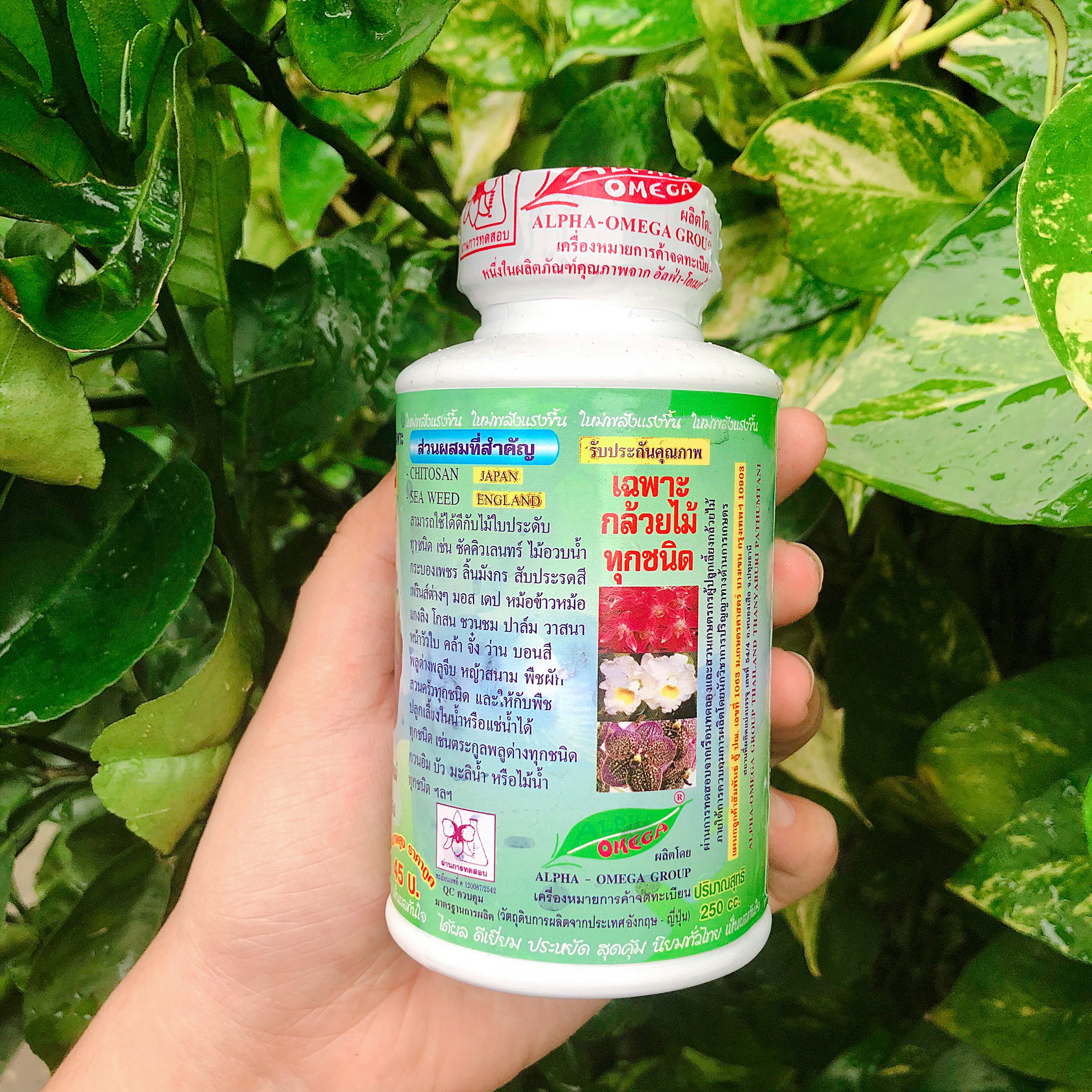 Phân bón lá Alpha Omega chai 250ml, kích mầm, kích chồi hoa Lan - Sản phẩm nhập khẩu từ Thái Lan