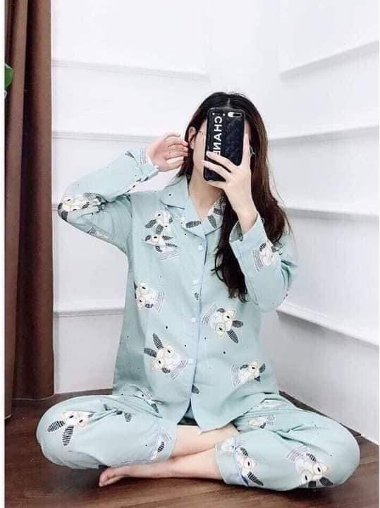 Bộ Pijama nữ mặc nhà, đồ ngủ, thiết kế nhiều hình đẹp dễ thương ( giao ngẫu nhiên )