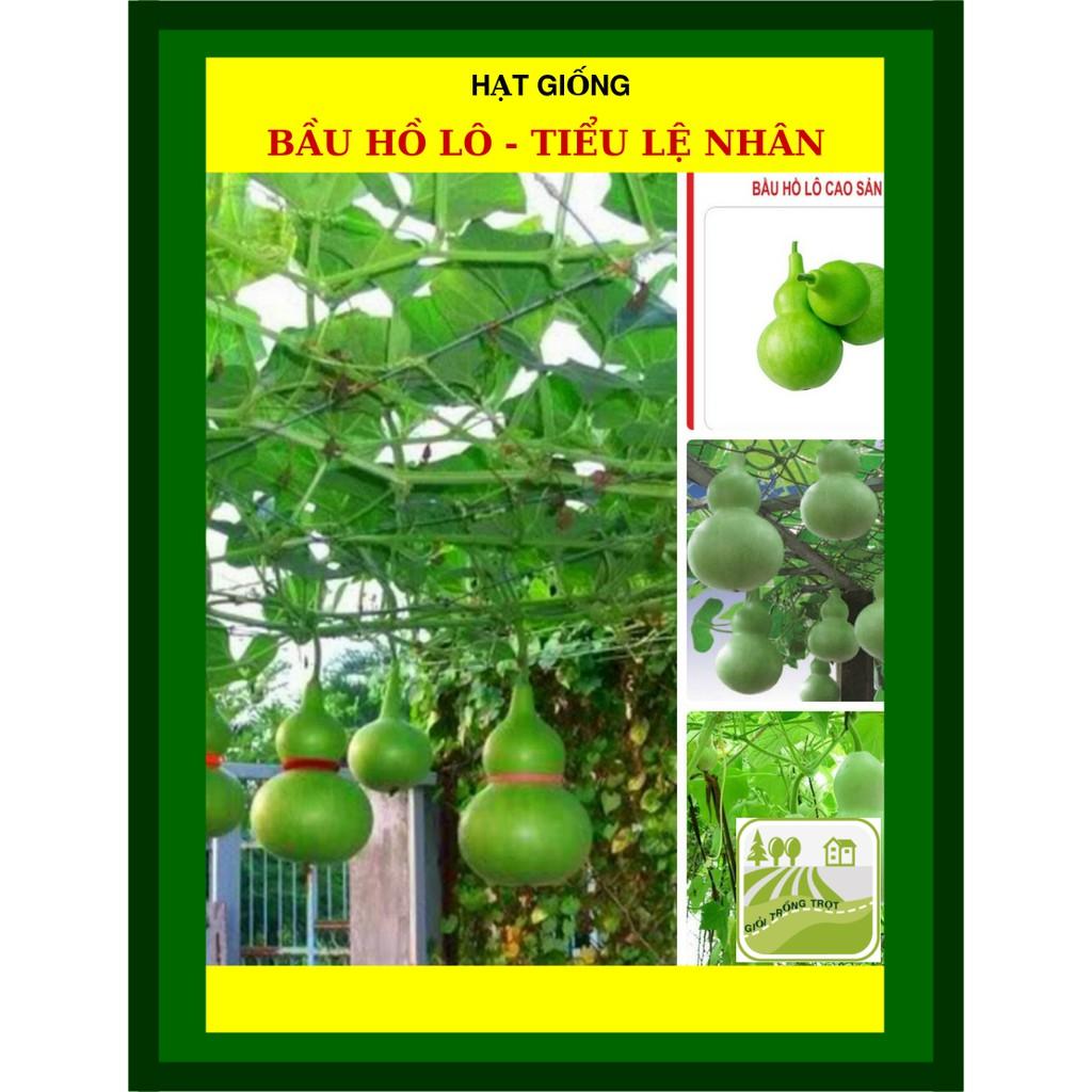 Hạt Giống Bầu Hồ Lô 10 hạt