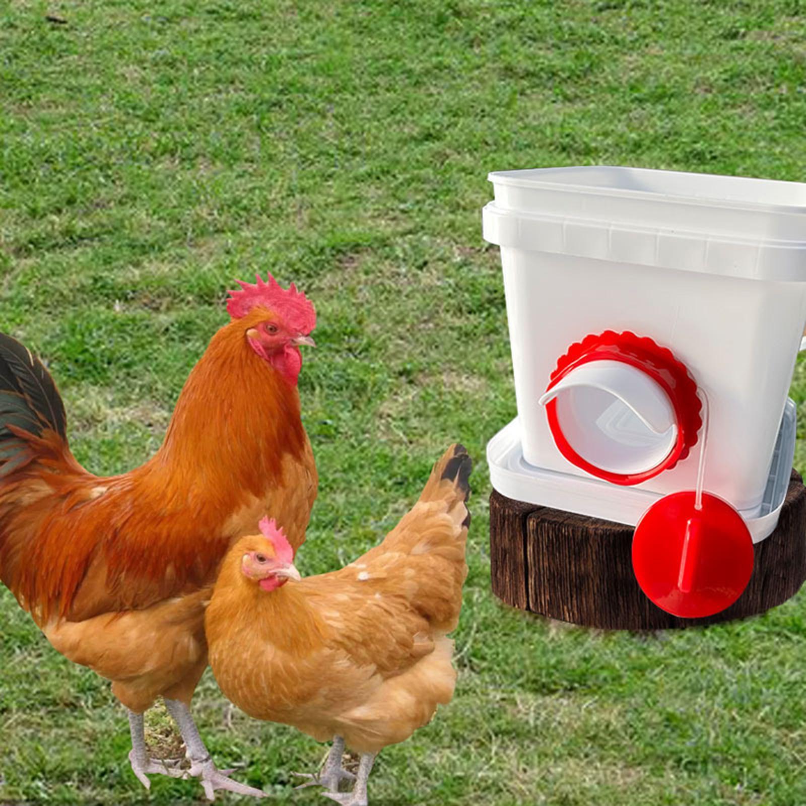 Poultry Feeders Weather Resistant Automatic Chicken Feeders for Boxes Tanks