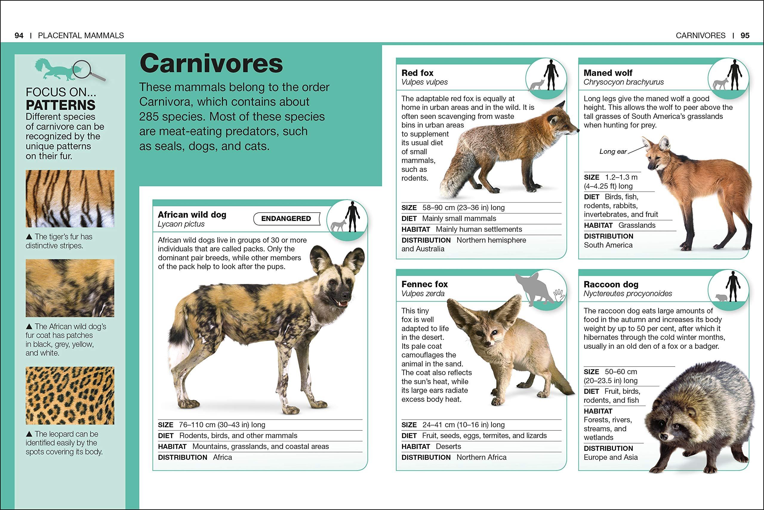 Mammals: Facts at Your Fingertips (Pocket Eyewitness)