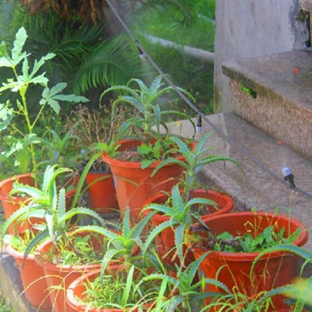 10 đầu phun sương 1 cửa xám, tưới sân vườn