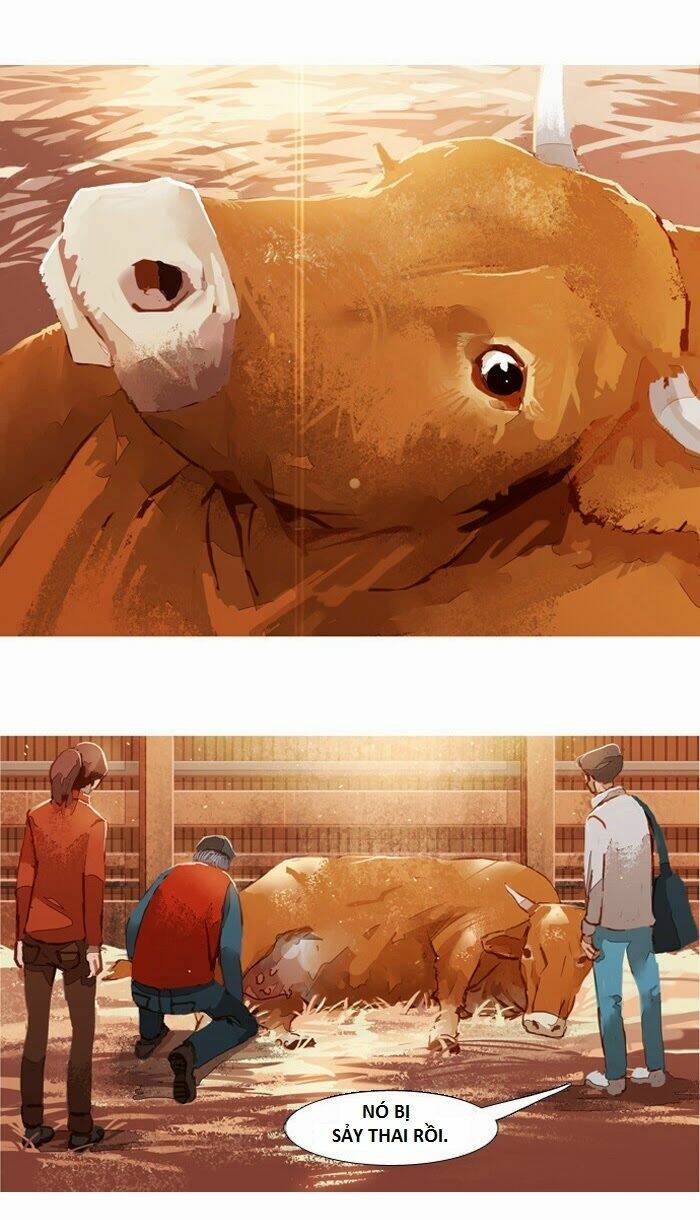 subtle disaster chapter 13 8