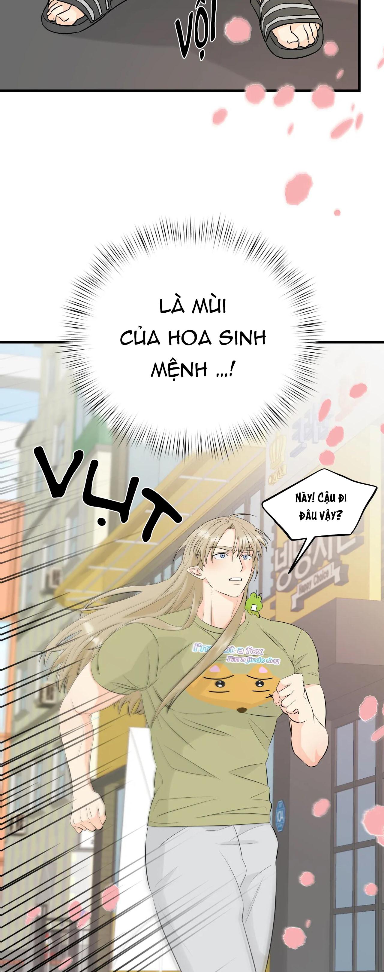 tình yêu cổ tích chapter 4 11