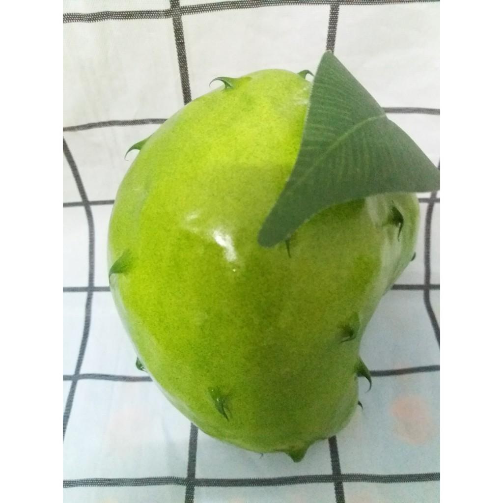 Combo ngũ quả trang trí Tết + 1 cặp bưởi hoặc 1 cặp dưa hấu_trái cây giả trang trí