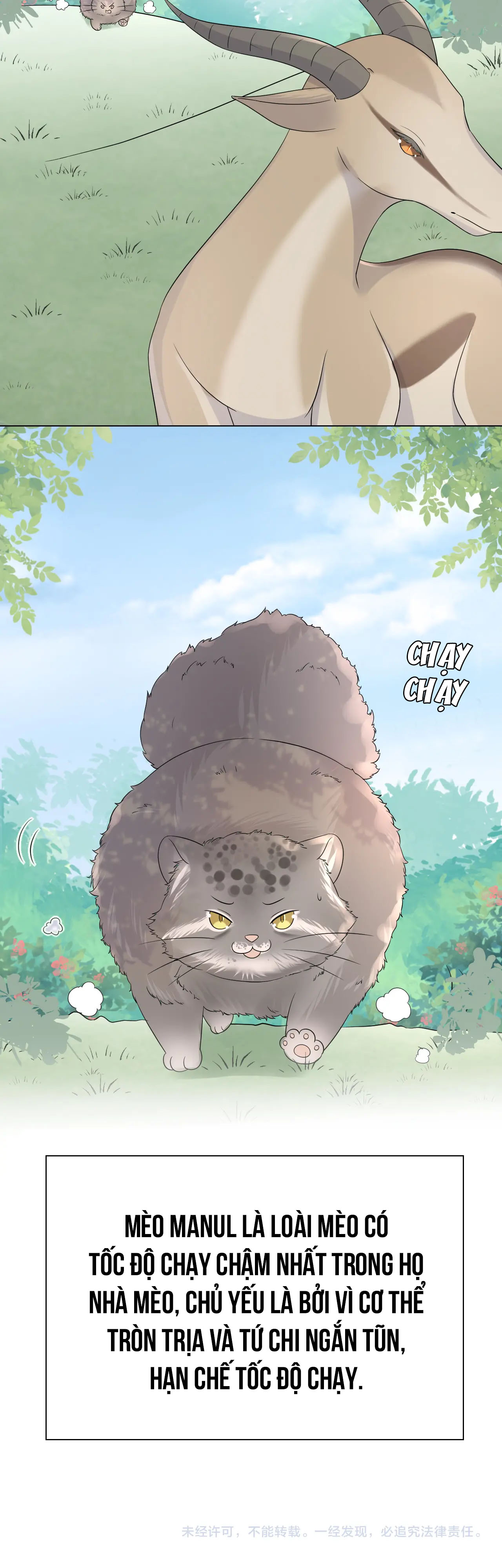 một miếng ăn sạch thỏ chapter 12 32