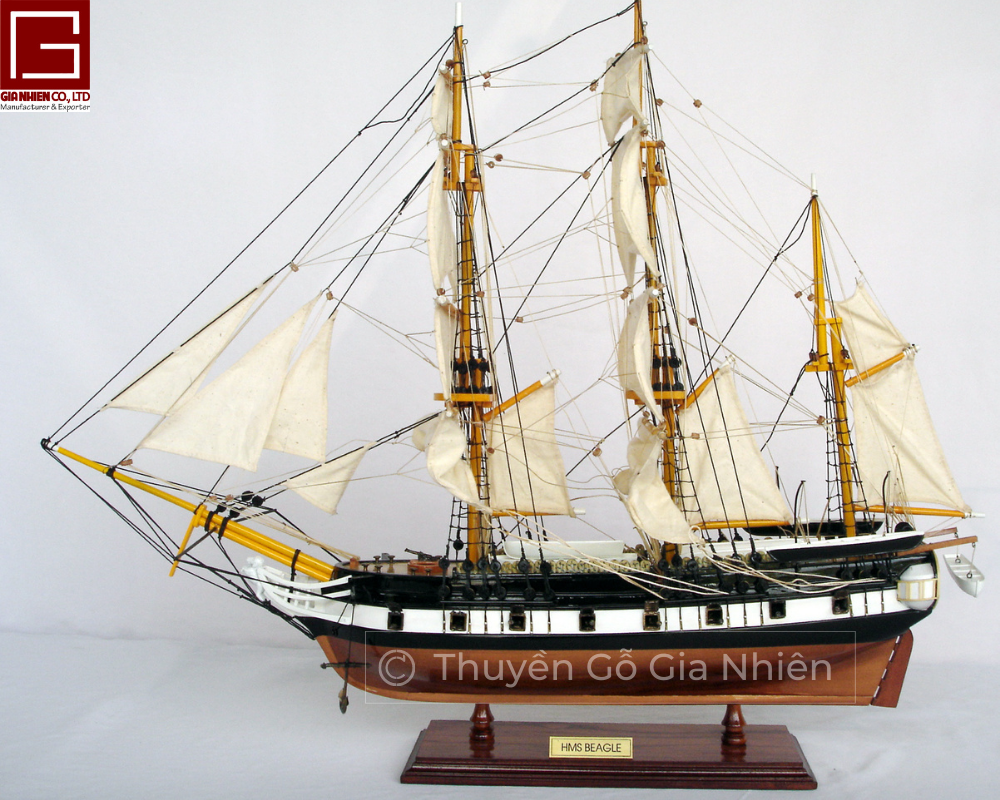 Mô Hình Thuyền Gỗ Phong Thủy Dạng Thuyền Cổ HMS BEAGLE Chính Hãng Hàng Xuất Khẩu Chất Lượng Cao
