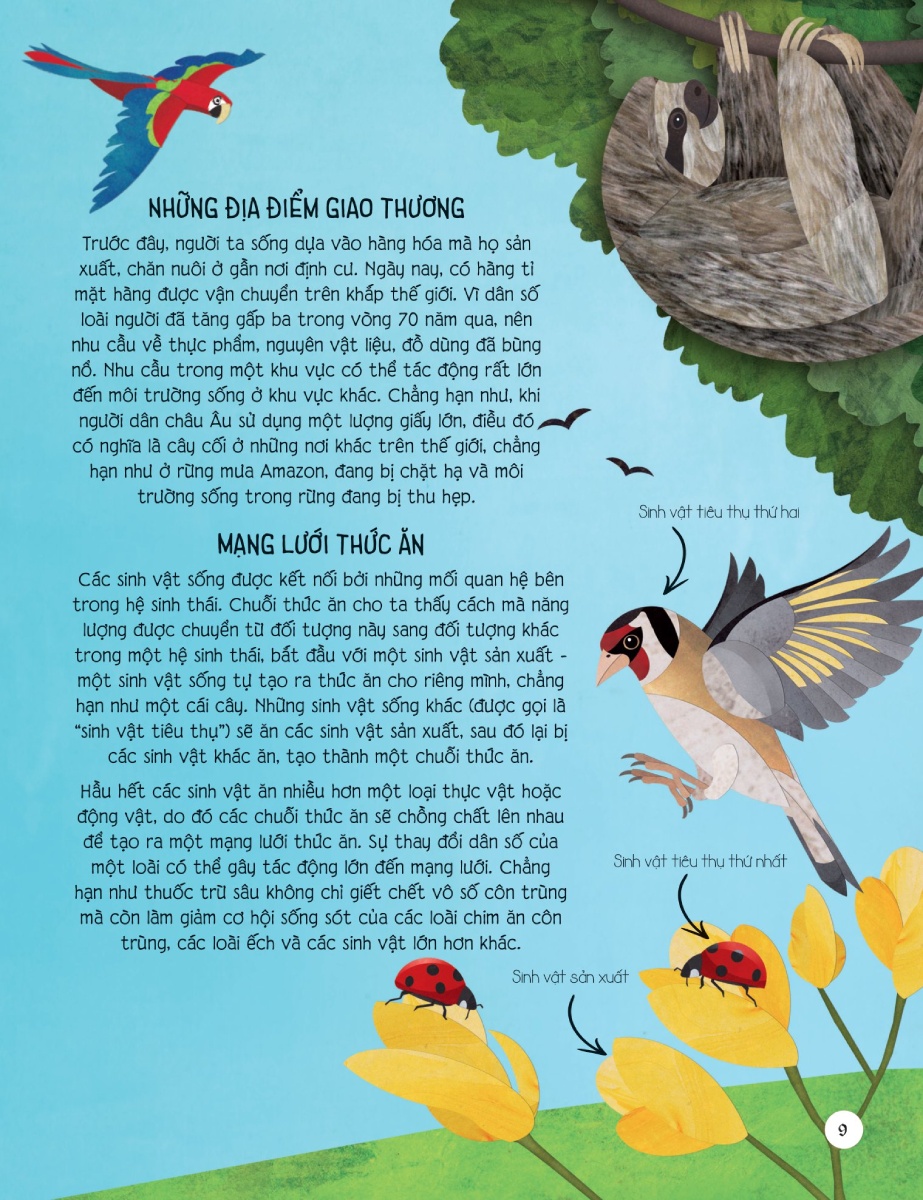 Những Vệ Sĩ Của Hành Tinh: Cách Để Trở Thành Một Người Hùng Bảo Vệ Hệ Sinh Thái _DTI