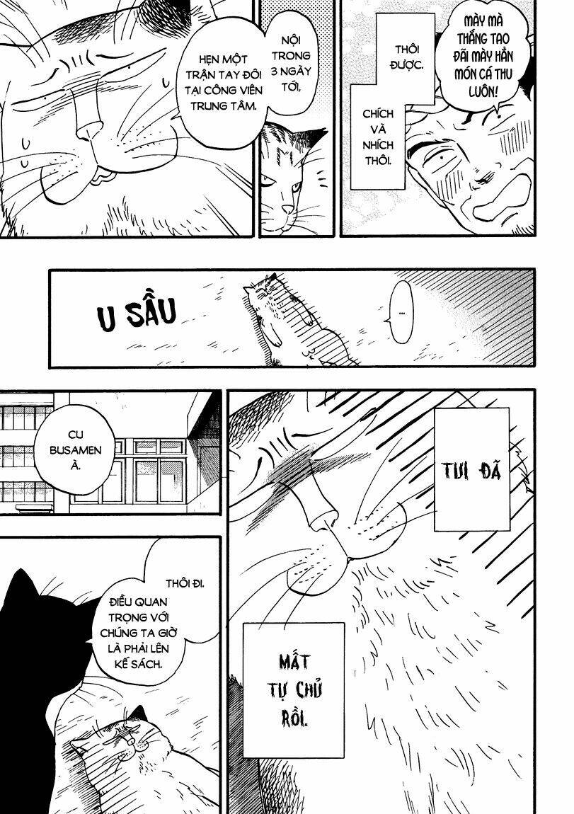 tui là busamen! chapter 6 10