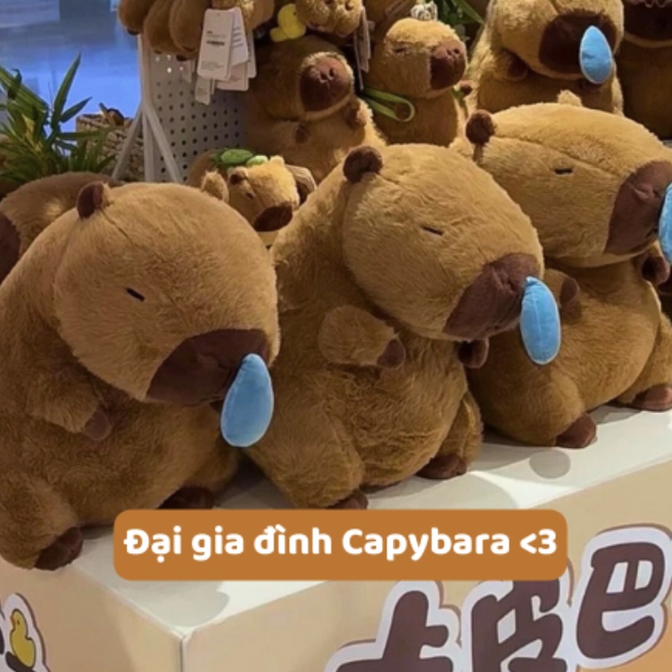 Thú nhồi bông Capybara chảy nước mũi êm mịn dễ thương cao cấp - Size từ 25cm đến 90cm - Quà tặng gấu bông Capybara nhồi bông dễ thương - Gối ôm mềm mịn cho bé