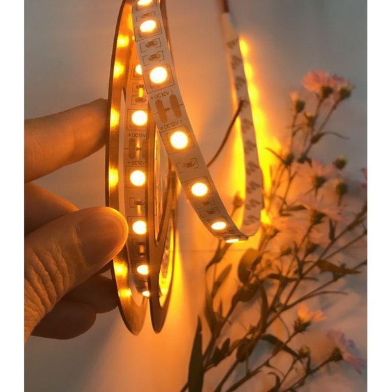 Cuộn Led dây SMD5050, cuộn 5m 12Vdc