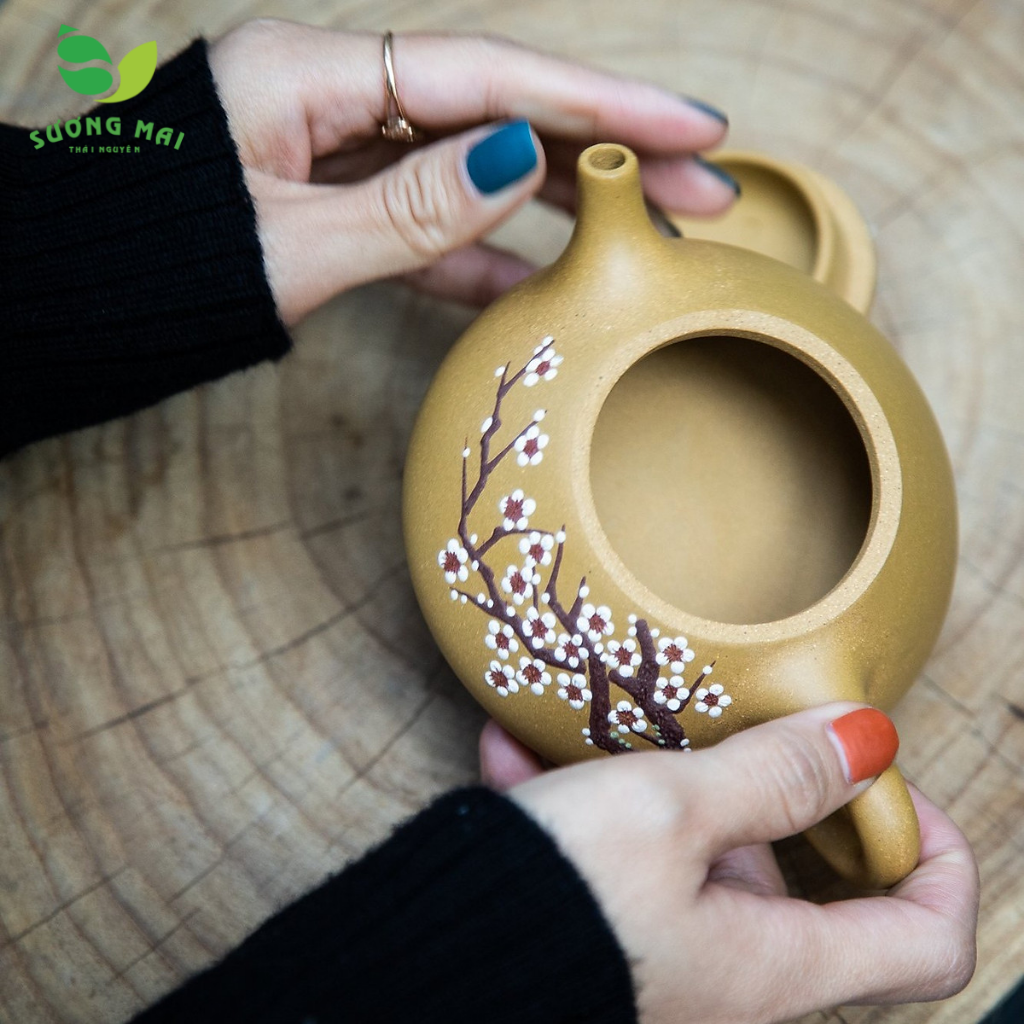Ấm đoàn sa Thạch Biều Cổ Thụ Mai