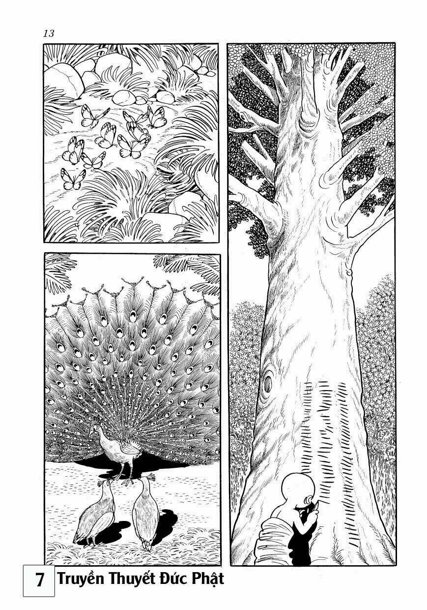 buddha - truyền thuyết đức phật chapter 30 12