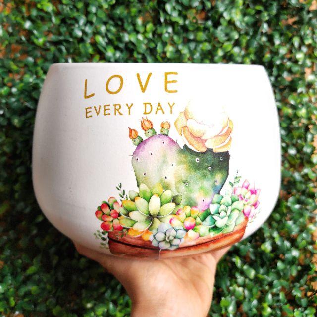 Chậu sứ tròn hình hạt dẻ in S1, size to hình siêu đẹp, trồng cây phong thủy, cây để bàn, sen đá xương rồng