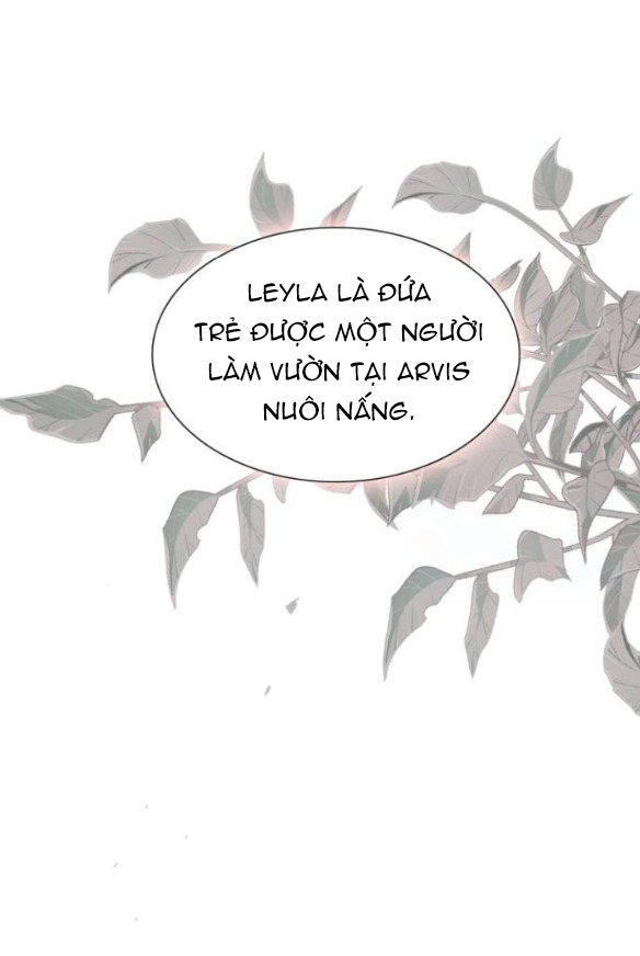 khóc đi hay là cầu xin tôi cũng được chapter 28.1 25