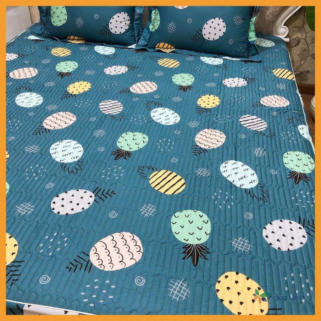 Bộ ga kèm 2 vỏ gối cotton Chần Bông mẫu Dứa Xanh cao cấp m2, m6, m8, 2m2