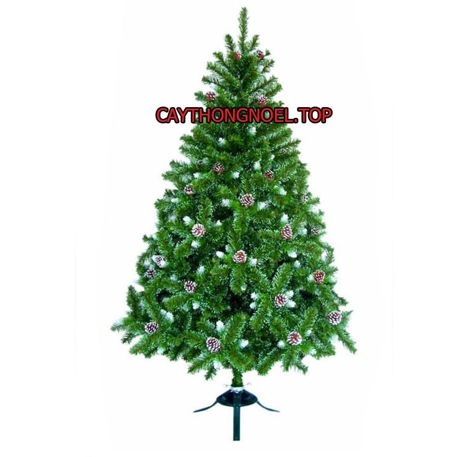 Cây thông noel 3 loại lá gắn trái thông cao 1m2 - Cây loại 3 lá dày đẹp sang trọng