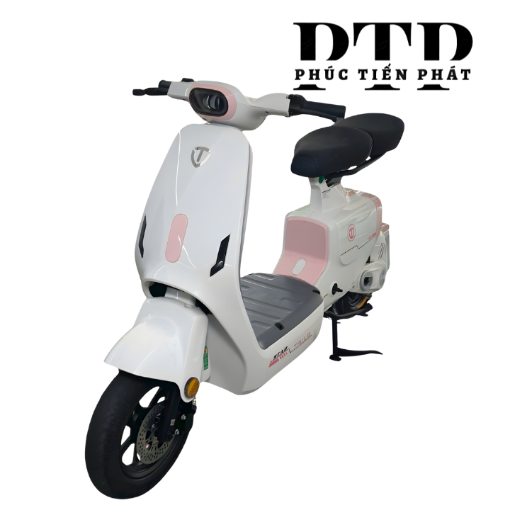 Xe Điện TAILG GR55 Plus