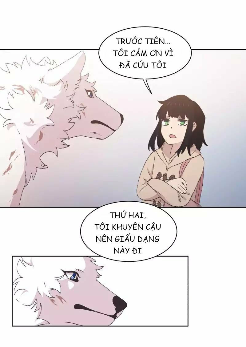 lumine - cội nguồn ánh sáng chapter 34 13