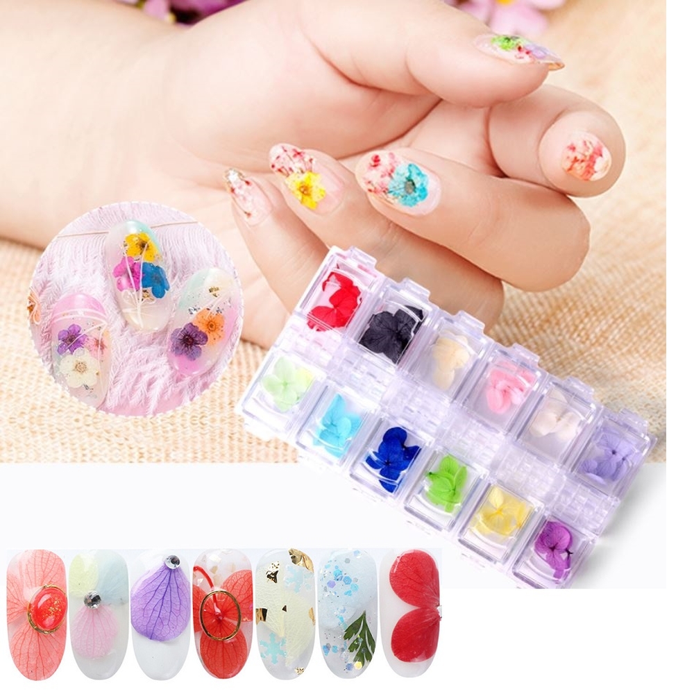 Hoa Khô San Hô Trang Trí Nail 12 Màu Đa Dạng Hình Dáng Kích Thước,  Gắn Móng Theo Nhiều Phong Cách
