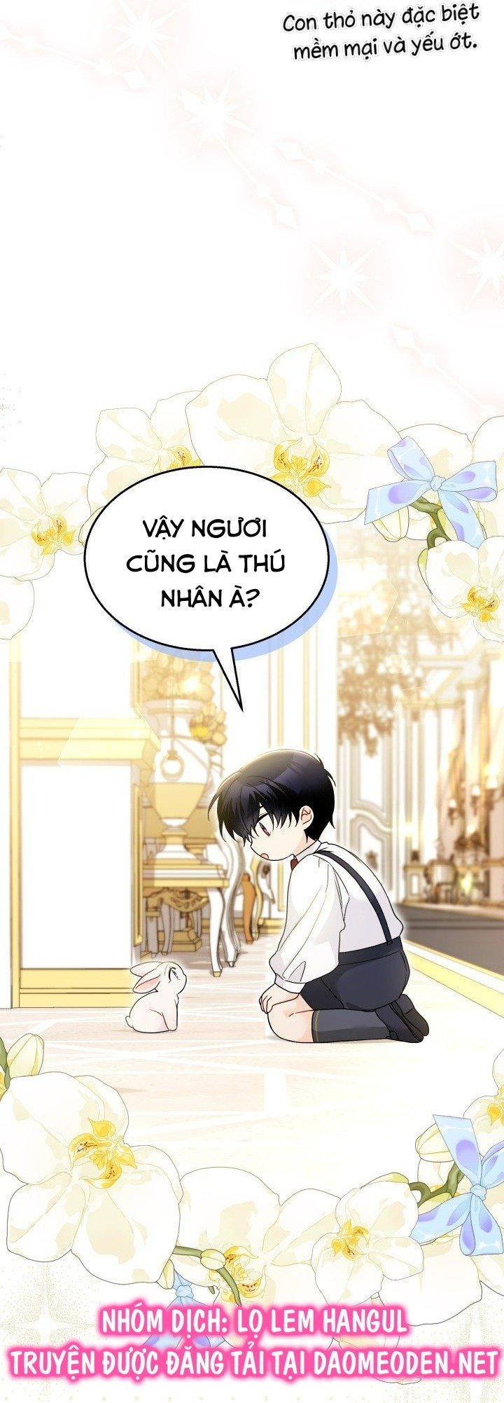 mối liên kết giữa báo đen và bé thỏ chapter 168 29