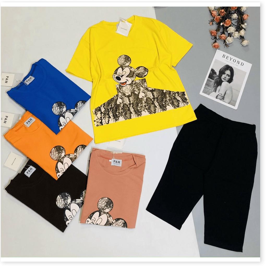 Đồ mặc nhà nữ siêu siêu xinh đẹp , thun cotton cực xịn THỜI TRANG KING FASHION