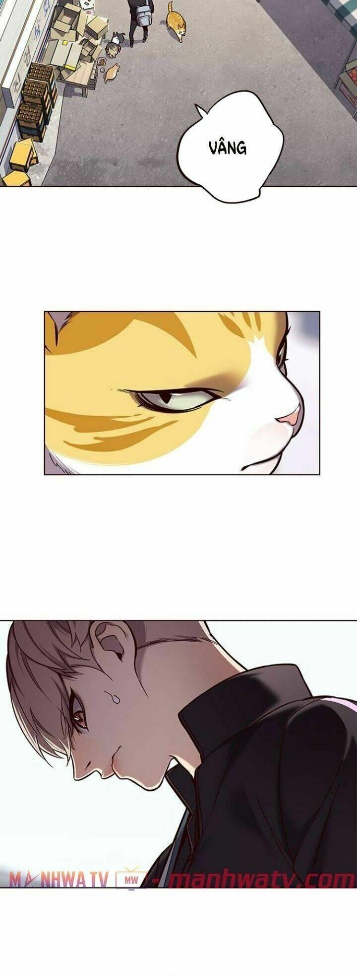 biến thân thành mèo chapter 117 32