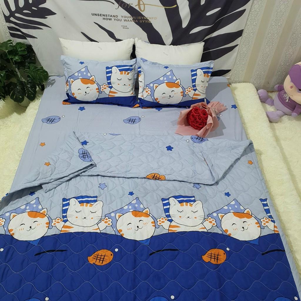 SET 4 MÓN CHĂN HÈ TRẦN BÔNG KÈM GA GỐI COTTON POLY MẪU MÈO CÁ XANH( ĐỦ KÍCH THƯỚC)